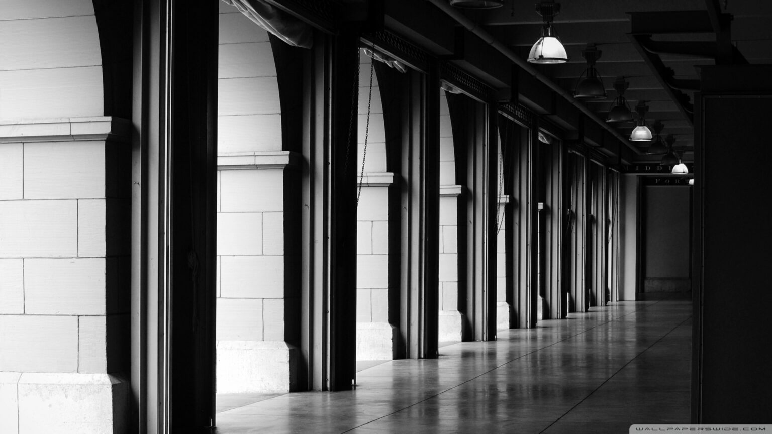 فعالية او خبر 4